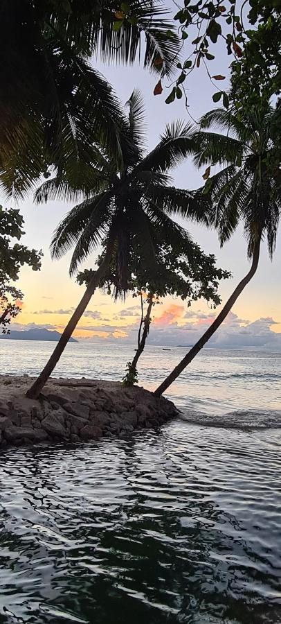 Harmony Self-Catering Apartments Beau Vallon  Exteriör bild